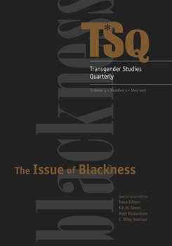 Paperback The Issue of Blackness Book