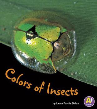 Paperback Colors of Insects Book