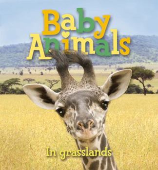 Board book Baby Animals in Grasslands Book
