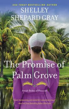 The Promise of Palm Grove - Book #1 of the Amish Brides of Pinecraft