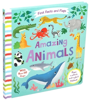 Board book First Facts and Flaps: Amazing Animals Book