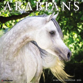 Calendar Arabians 2024 12 X 12 Wall Calendar Book