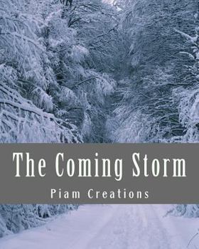 Paperback The Coming Storm: Stockmarket Crash 2016-2018 Book