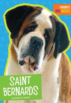 Paperback Saint Bernards Book