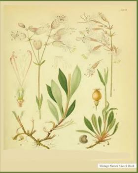 Nature Sketch Book: Vintage Nature Print (4), 8" x 10", Sketch Pad, For Drawing, Unlruled Drawing Paper Pad - [Professional Binding]