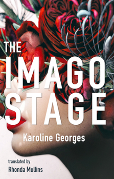 Paperback The Imago Stage Book
