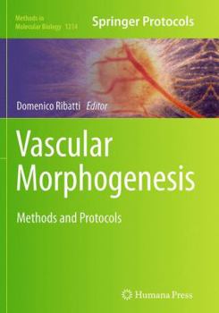 Paperback Vascular Morphogenesis: Methods and Protocols Book