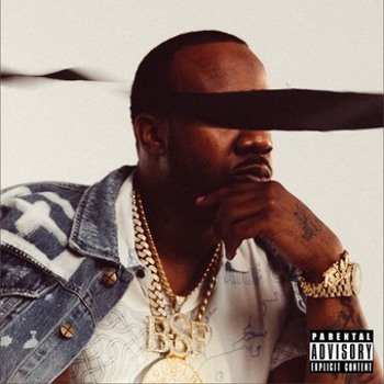 Vinyl Burden Of Proof Book