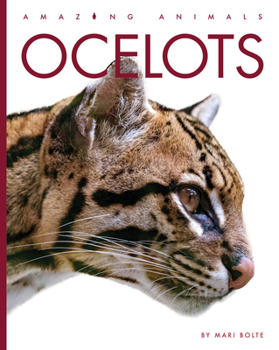 Paperback Ocelots Book