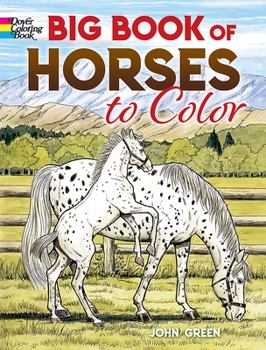 Paperback Big Book of Horses to Color Book