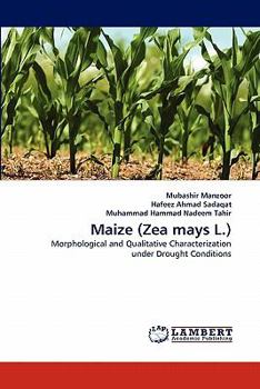 Paperback Maize (Zea mays L.) Book