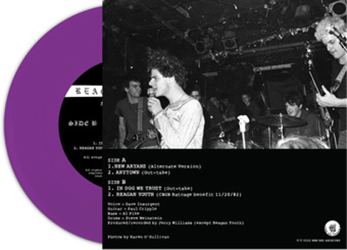 Vinyl New Aryans   Purple Book
