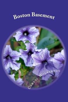 Paperback Boston Basement Book