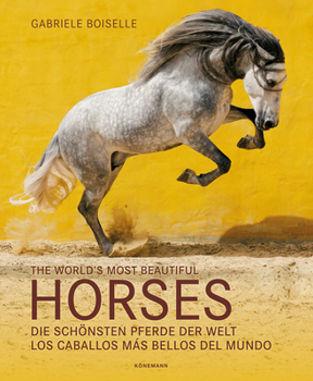 Hardcover The World's Most Beautiful Horses Book