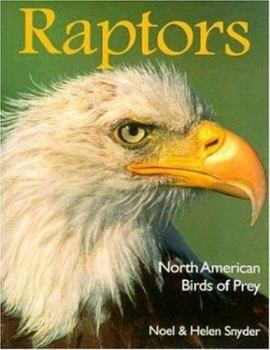Paperback Raptors Book