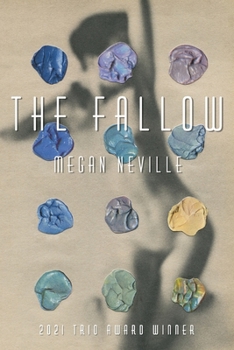 Paperback The Fallow Book