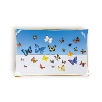 Misc. Gray Malin the Butterflies Porcelain Tray Book