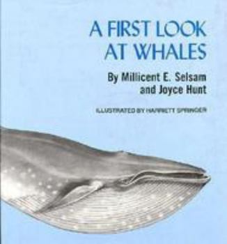Hardcover A First Look at Whales Book