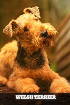 Paperback Welsh Terrier: Complete breed guide Book