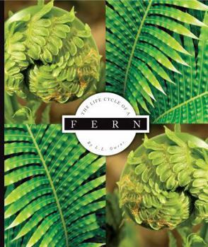Library Binding The Life Cycle of a Fern Book