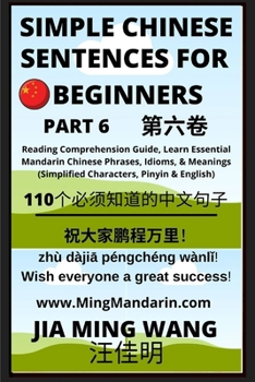 Paperback Simple Chinese Sentences for Beginners (Part 6) - Idioms and Phrases for Beginners (HSK All Levels) [Large Print] Book