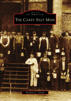 The Carey Salt Mine (Images of America: Kansas) - Book  of the Images of America: Kansas