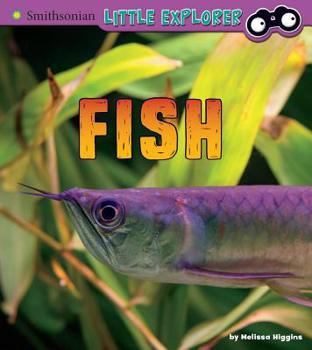 Hardcover Fish: A 4D Book