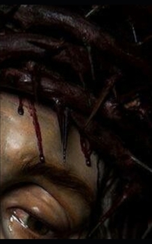 Paperback Grafica [Italian] Book