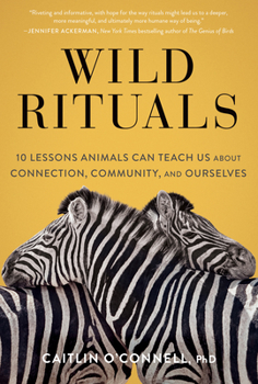 Paperback Wild Rituals: 10 Lessons Animals Can Teach Us about Connection, Community, and Ourselves Book
