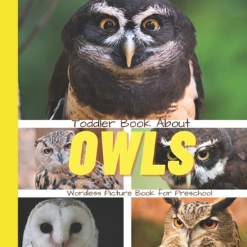 Paperback Toddler Book About Owls: A Picture Book for Preschoolers Book