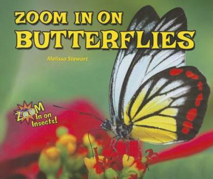 Paperback Zoom in on Butterflies Book