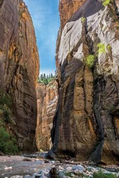 Paperback Narrows of Virgin River in Zion Canyon Utah Journal: 150 page lined notebook/diary Book