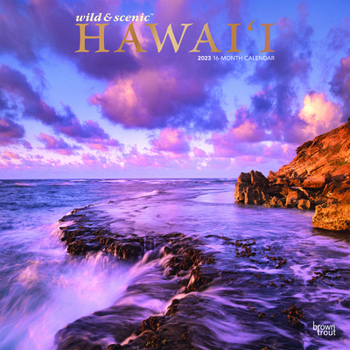 Calendar Hawaii Wild & Scenic 2023 Square Foil Book