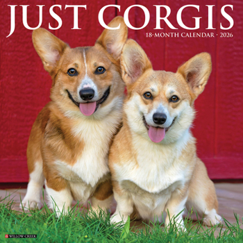 Calendar Corgis 2026 Wall Calendar Book