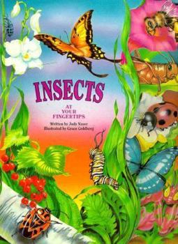 Board book Insects Book