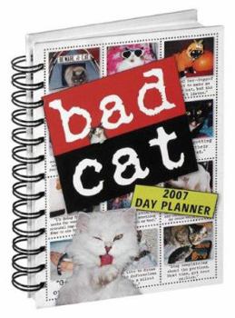 Calendar Bad Cat Day Planner 2007 Book