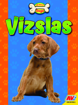 Paperback Vizslas Book