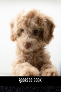 Address Book: Sweet Puppy - Phone & contact book -All contacts at a glance - 120 pages in alphabetical order / size 6x9  (A5)