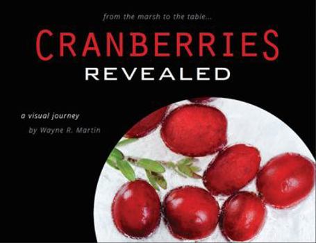 Hardcover Cranberries Revealed a visual journey Book