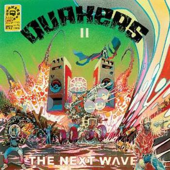 Vinyl Ii   The Next Wave Book