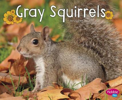 Hardcover Gray Squirrels Book