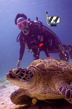 Paperback Diving Logbook: Diving Notebook for Beginners and Experienced Divers Notebook Journal for Logging Your Fantastic (6" x 9" ) Scuba divi Book