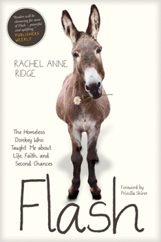 Paperback Flash: The Homeless Donkey Who Taught Me about Life, Faith, and Second Chances Book