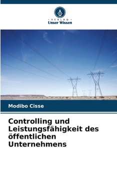 Controlling und Leistungsfähigkeit des öffentlichen Unternehmens (German Edition)