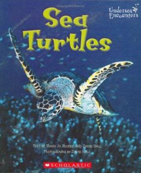 Library Binding Sea Turtles Book