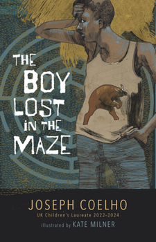 Hardcover The Boy Lost in the Maze Book