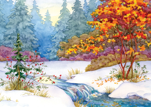 Misc. Winter Tapestry Deluxe Boxed Holiday Cards (20 Cards, 21 Self-Sealing Envelopes) Book