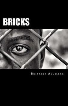 Paperback Bricks Book