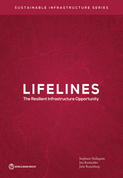 Paperback Lifelines: The Resilient Infrastructure Opportunity Book