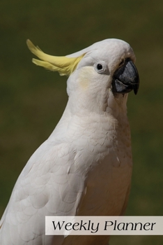 Weekly Planner: Cockatoo Bird Daily Planner Schedule Organizer Agenda 52 weeks 6x9